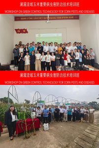 CCTV+: Hội thảo về Công nghệ phòng trừ xanh sâu bệnh hại ngô tại lưu vực sông Lan Thương - Mê Kông được tổ chức thành công tại Hà Nội, Việt Nam