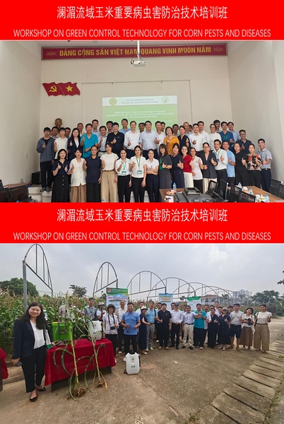 CCTV+: Hội thảo về Công nghệ phòng trừ xanh sâu bệnh hại ngô tại lưu vực sông Lan Thương - Mê Kông được tổ chức thành công tại Hà Nội, Việt Nam