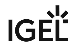 IGEL Bổ Nhiệm Chuyên Gia Zero Trust Hàng Đầu Hoa Kỳ Randy Resnick Nhằm Thúc Đẩy Chiến Lược IGEL Adaptive Secure Endpoint Platform™